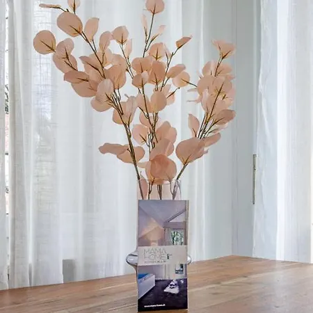 Mit Gemeinschaftsbad Apartament